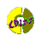 CDizz Player 0.9957