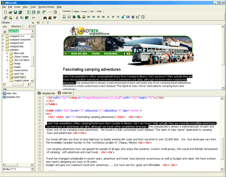 Alleycode HTML Editor 2.21