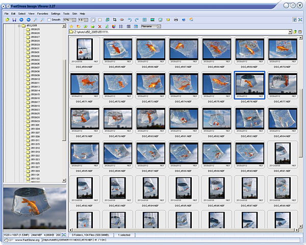 Faststone Image Viewer 5.3